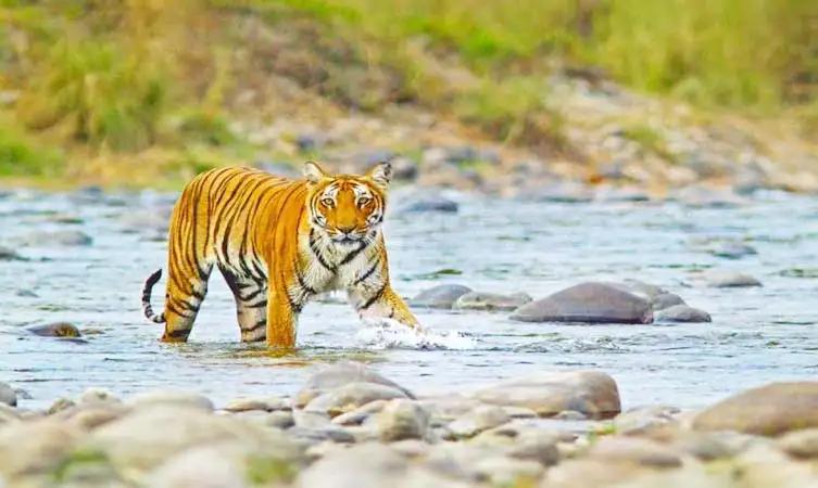 Uttarakhand